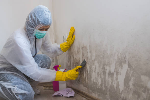 Best Kitchen Mold Remediation in Grottoes, VA