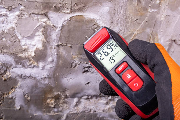 Best Bathroom Mold Remediation in Grottoes, VA